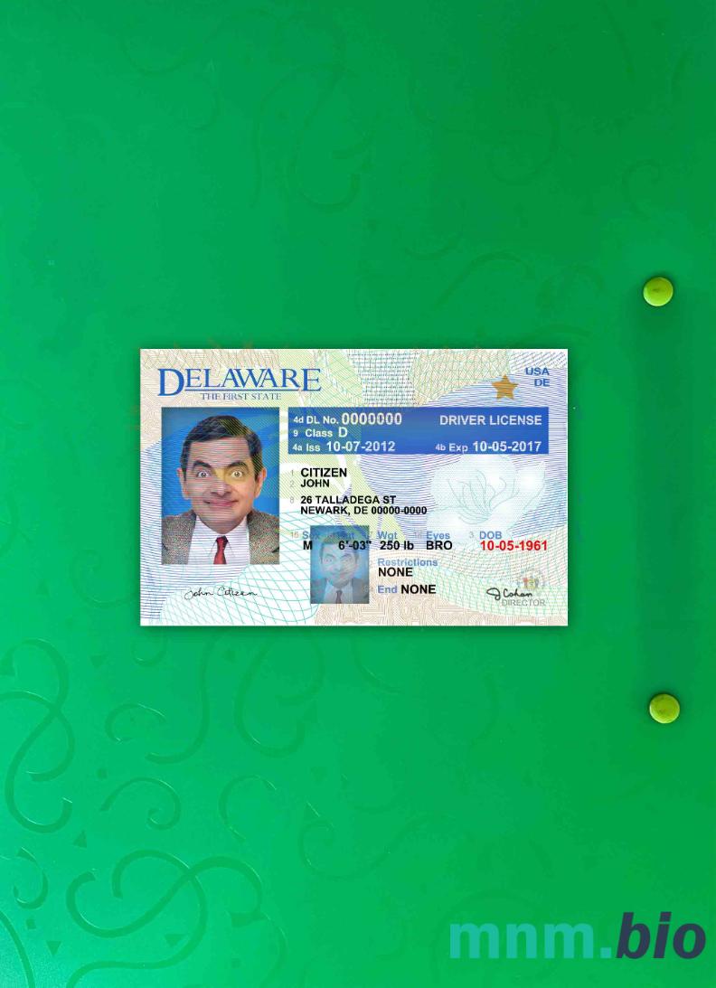 USA Delaware prawo jazdy wersja 2 photolook